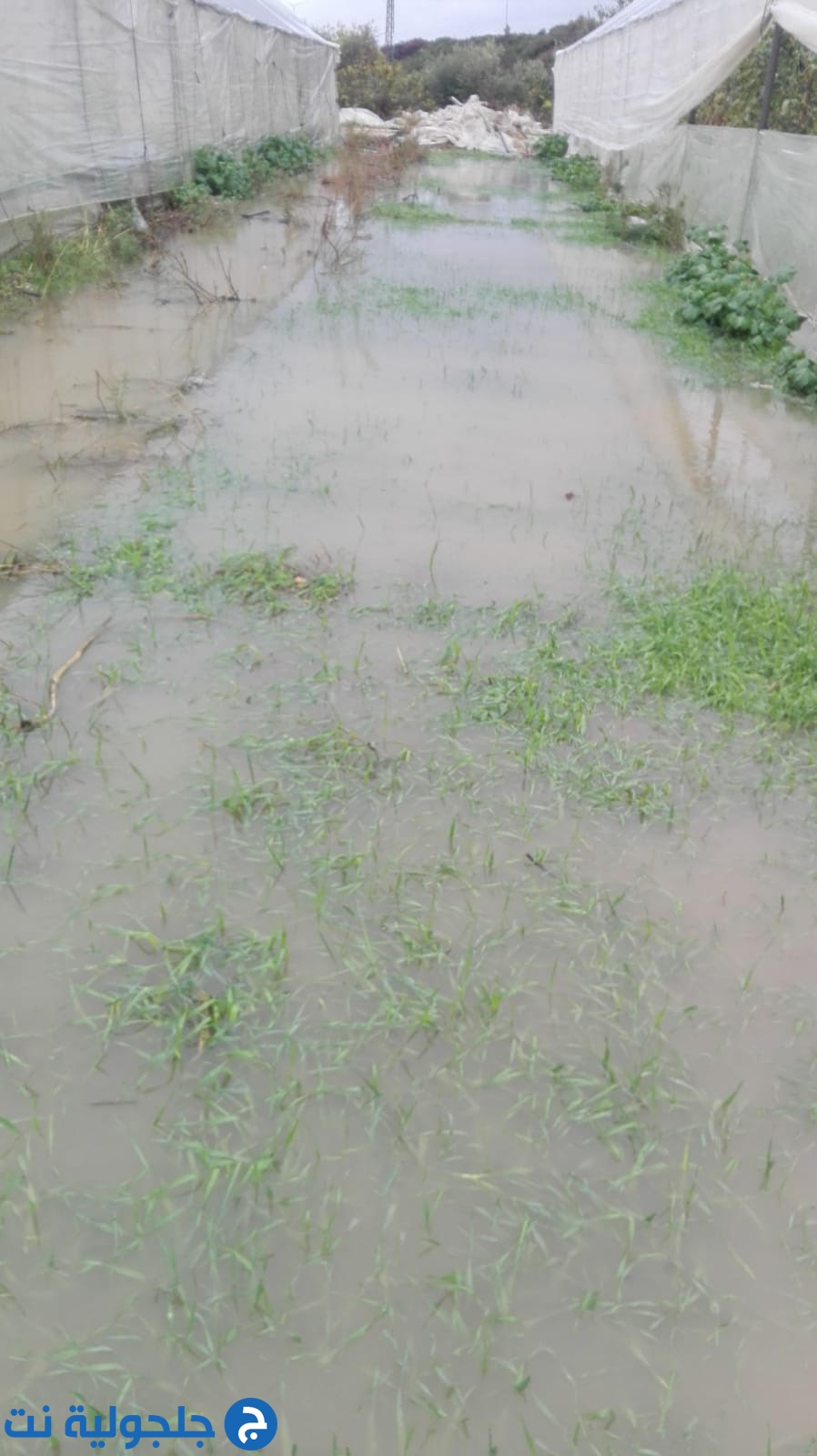 اضرار جسيمة في مزرعة يونس خطيب بسبب السيول